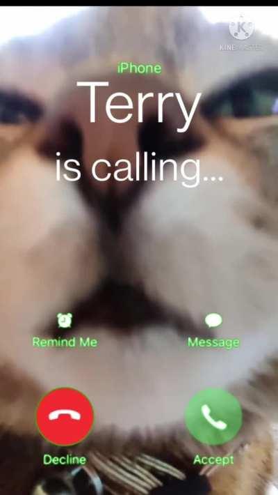 Terry 😳 Do you accept??