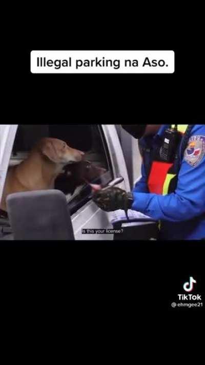 kamote talaga tong driver na to kung saan saan nagpark.