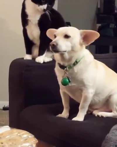 Охота пуще неволи