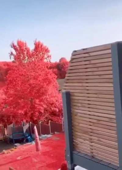 When you get into Hardmode just for the crimson to spawn on your house