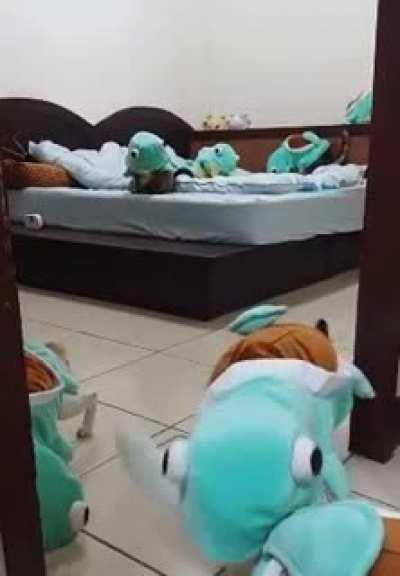 Cats in Squirtle Costumes