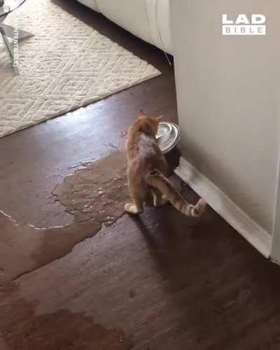 Неrе's аll the рrооf уоu nееd. . .