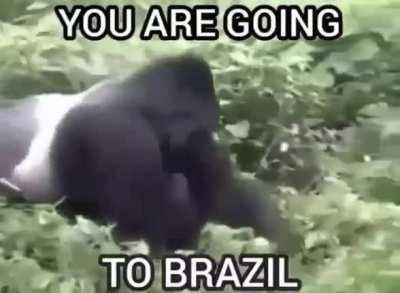 No..😳 not again please..