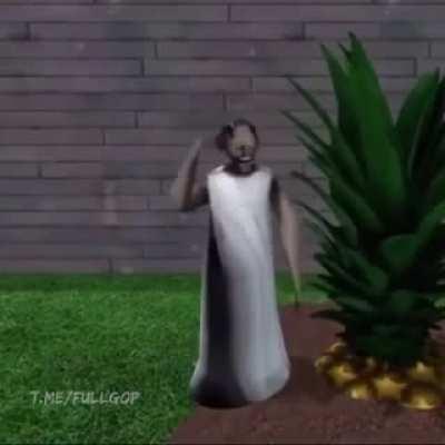 What am i even watching