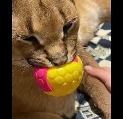 ITS FLOPPA FRIDAY AGAIN!!