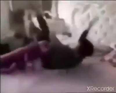 🅰🅰🅰🅰🅰🅰🅰🅰