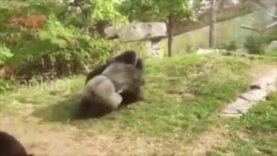 literally every stw 1v1