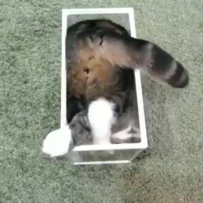 what is this kind of liquid?!