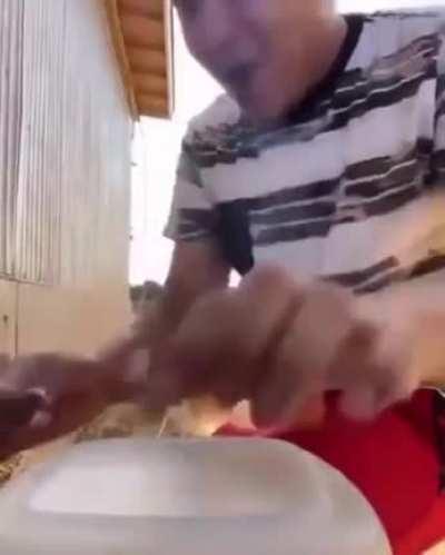 Classic Dumbassery (I am new, pls forgive if repost)