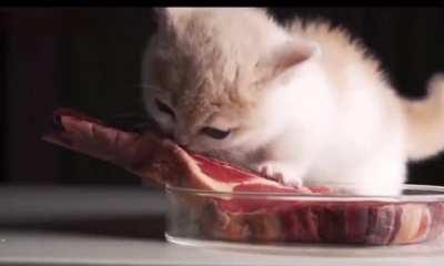 hey this is so tough