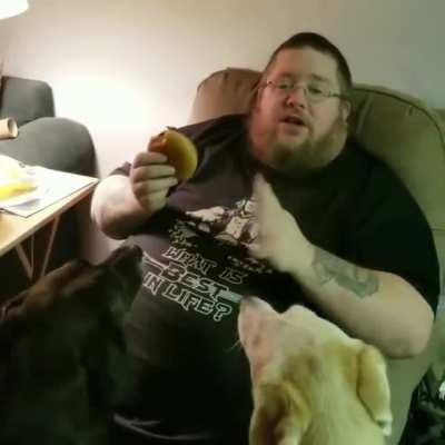 Can I haz a cheeseburger