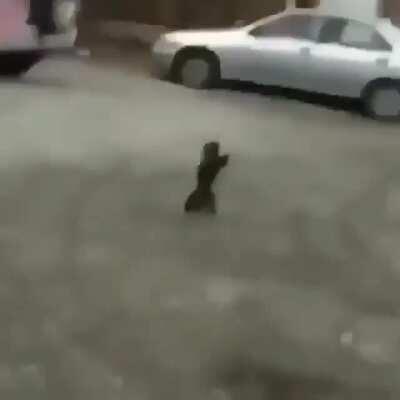 WHAT HE RUNNING FOR??????