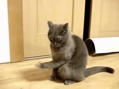 MRW someone sends me a weird text message