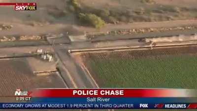 Redditors on their way to kill you for not liking big chungus