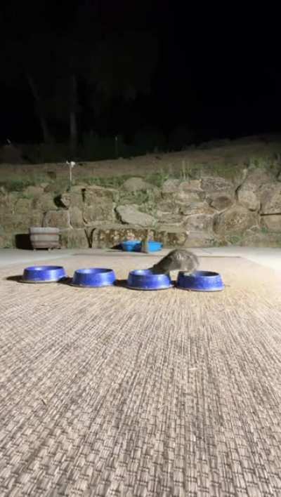 Where does this guy live?