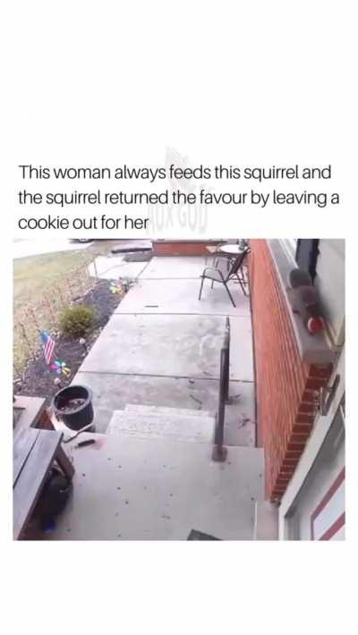 Returning the favour