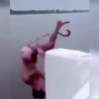 Ocean song Scataphine, when she realised, that she's still suppose to hold it 😱