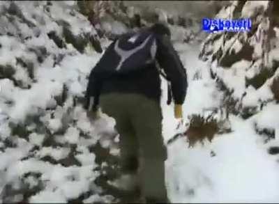 Srvajvl u Krajini - Gril Bers