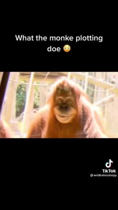 Bro is plotting against the humain race.