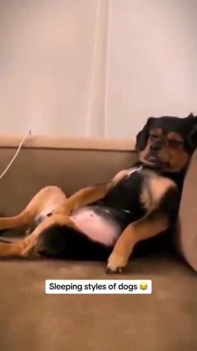 HMK I'm too tired to eat