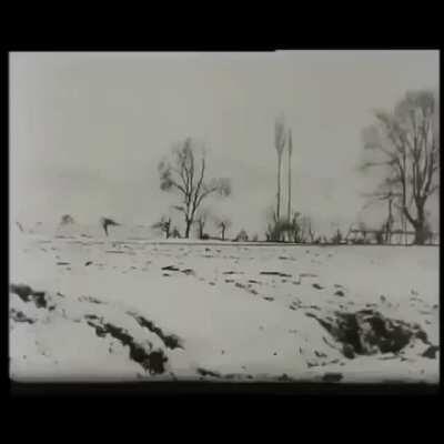 Βασισμένο και κοκκινοχαπακωμενο