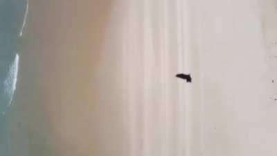 Sometimes, nature gives you no choice ;