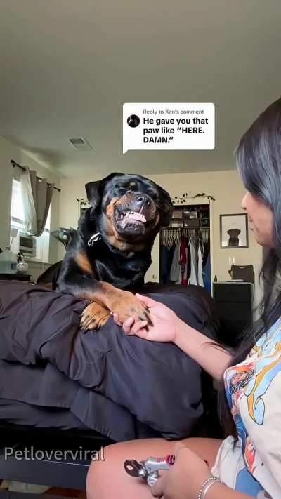 He's so cute when he jumps.