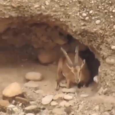 Was a complete surprise 