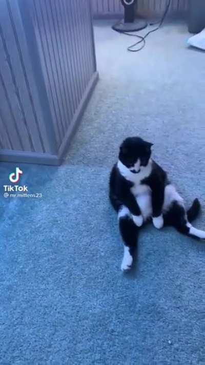 Just rethinking life