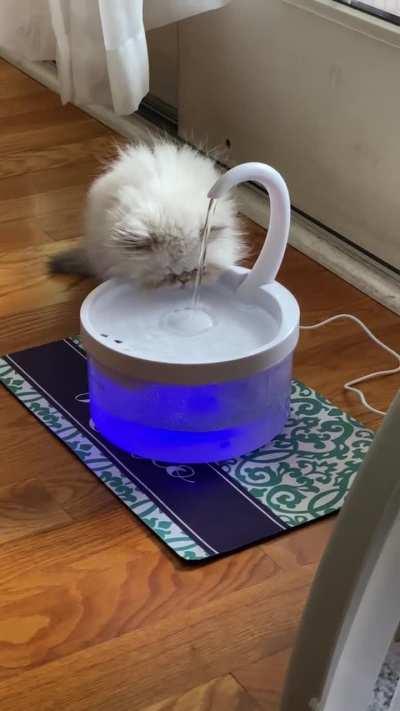 Pearls preferred water fountain ⛲️