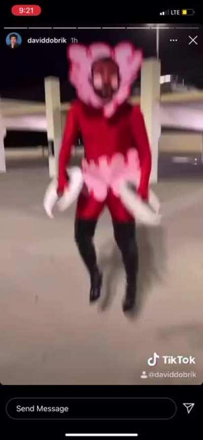 David’s assistants are the best