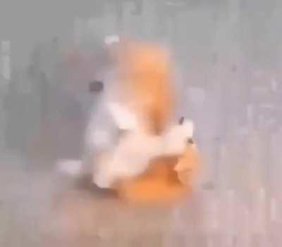 Se pasan los chilangos