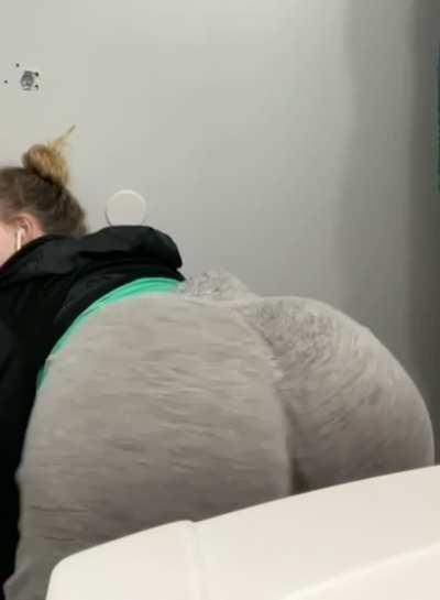 Shake that shit like jelly