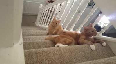 The stair grabbing pose is a particular highlight for me