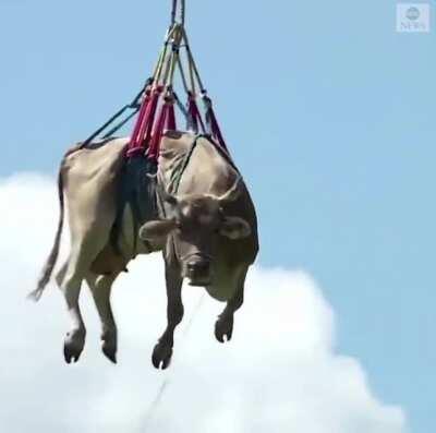 First day on the job in Switzerland