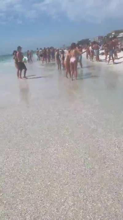 Dancing and showing her ass at the beach