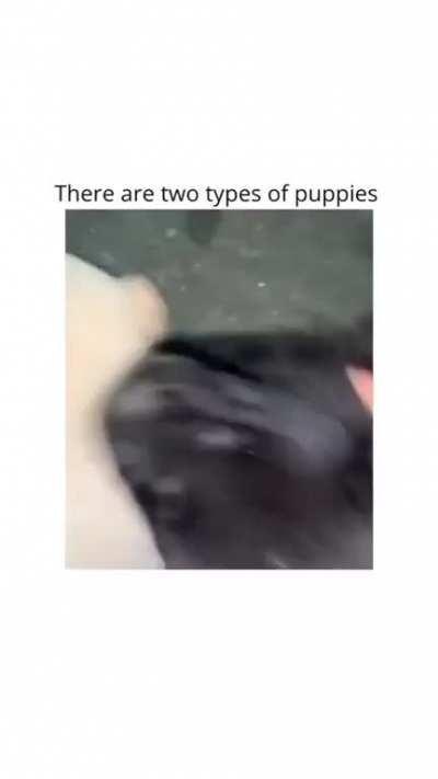 I have the second type