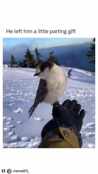 Such a beautiful exchange