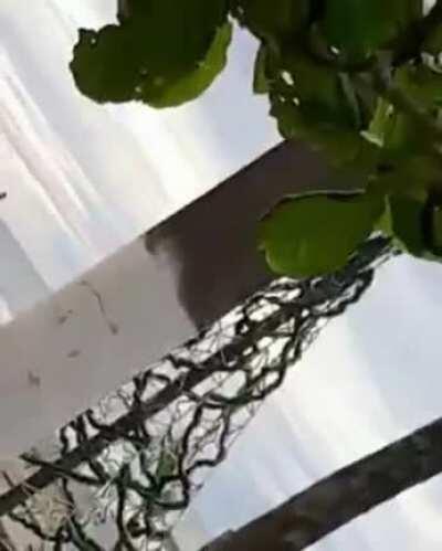 One less driver license in 2021!