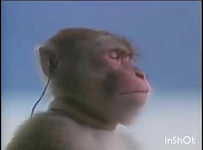 How to cope after losing another home series