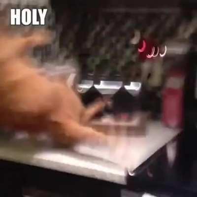 I will fight with you