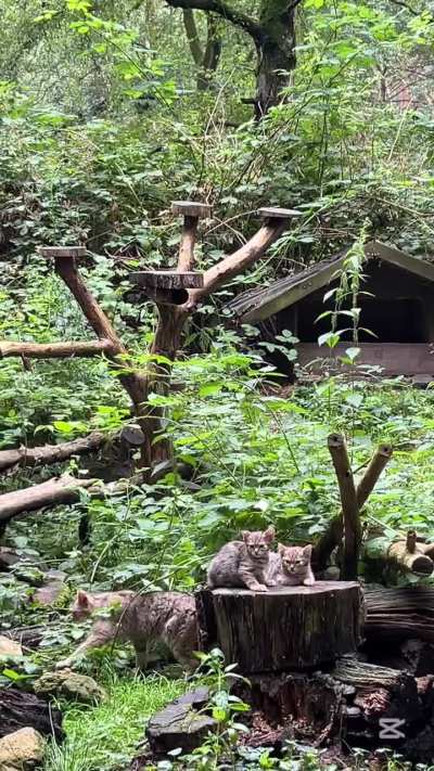 Pleasantly surprised