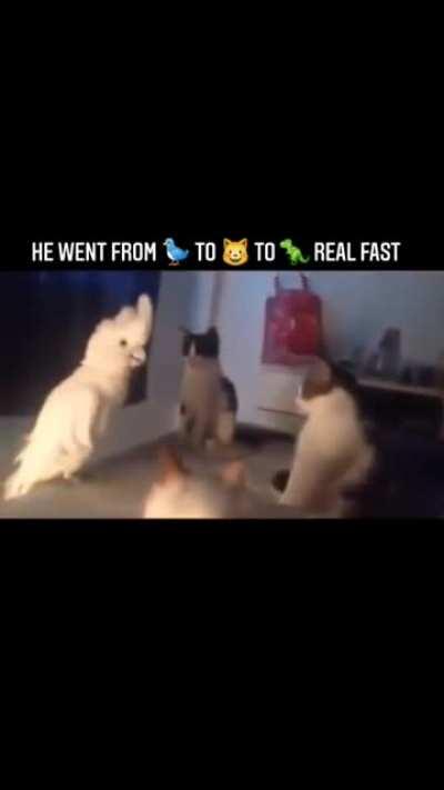 aaa aaaa AAAAAAAAAAAAA