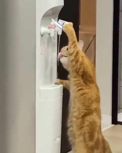 Get me a Bowa... a... waaerr will you?