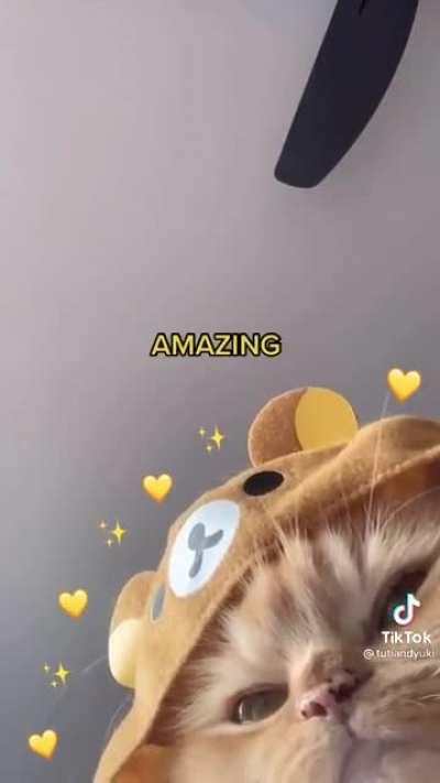 Just vibin with the kitty 🐱🥺