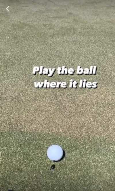 Had a little help from my friends