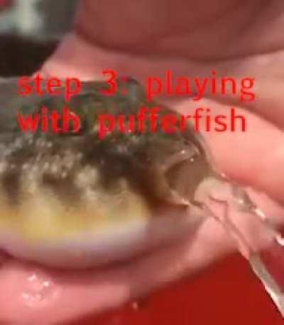 PUFFER FISH PACKAGED MANUAL(first version)