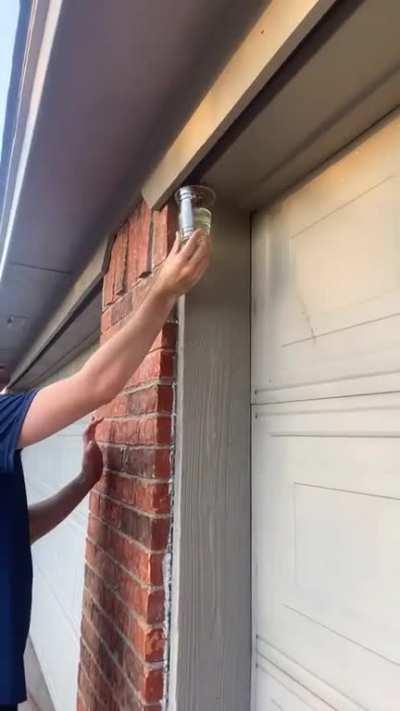 To do the wasp trend 