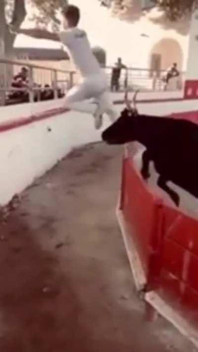 Near miss with bull 😬