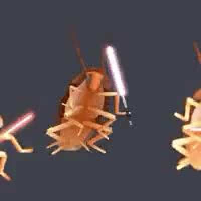 The only thing i know about star wars is